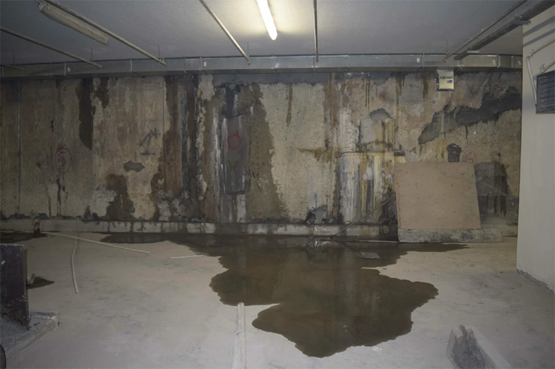 ����� ������